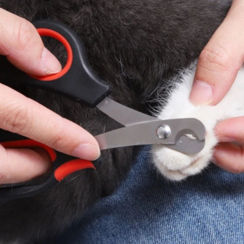 Cortador de unhas inox para animais de estimação